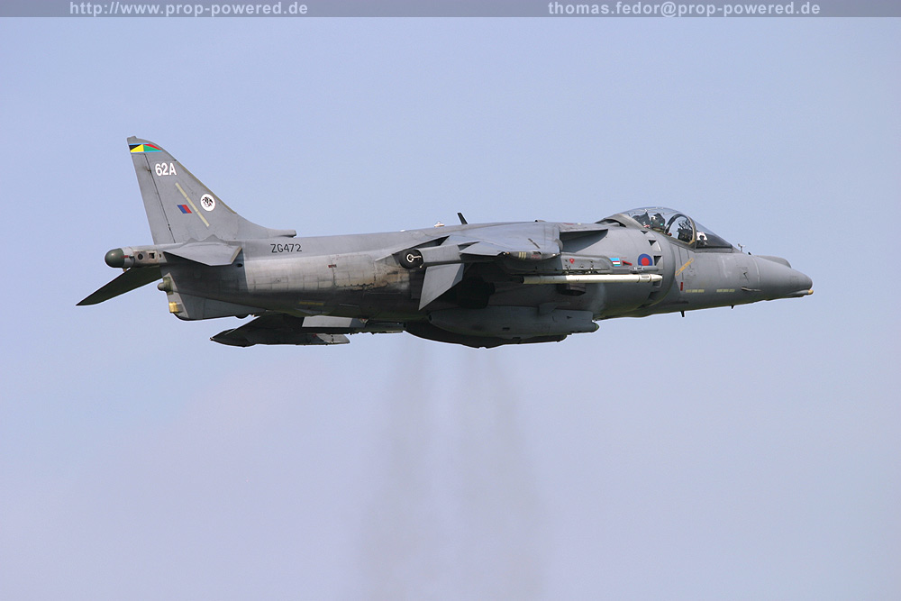 harrier