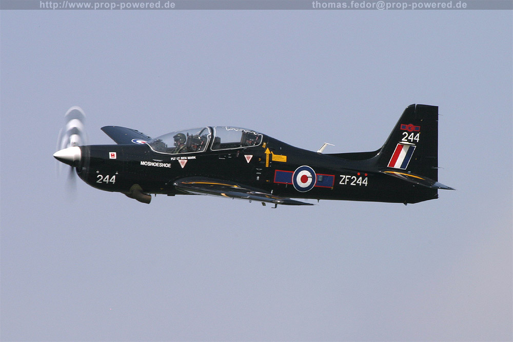 tucano