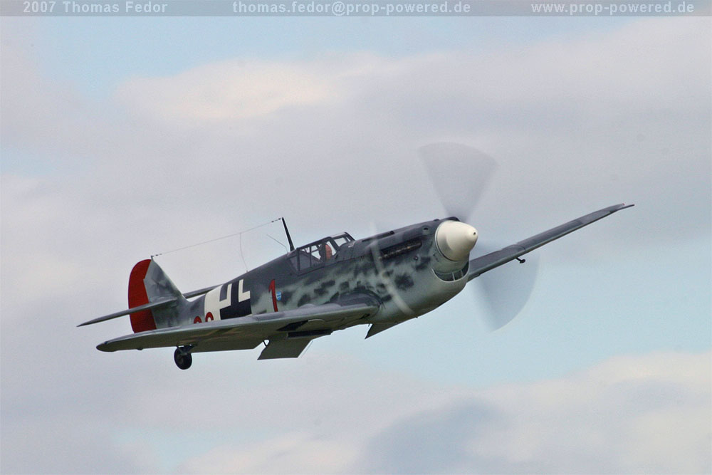 buchon5