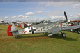 buchon