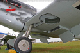 buchon2
