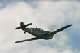 buchon3