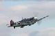 buchon5