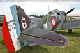 curtiss