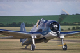 hellcat