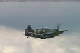 spitfire3