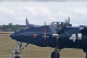 tigercat2