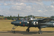 tigercat3