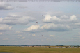 yak3