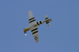 mustang-p51