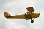 Tiger Moth